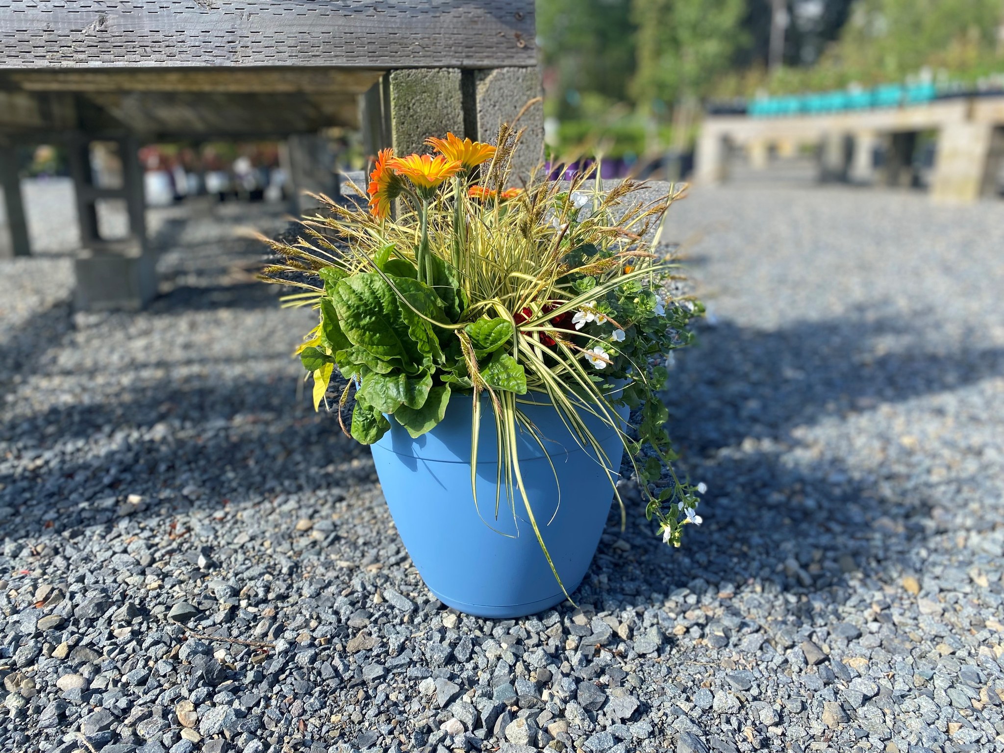 Decorative Pots