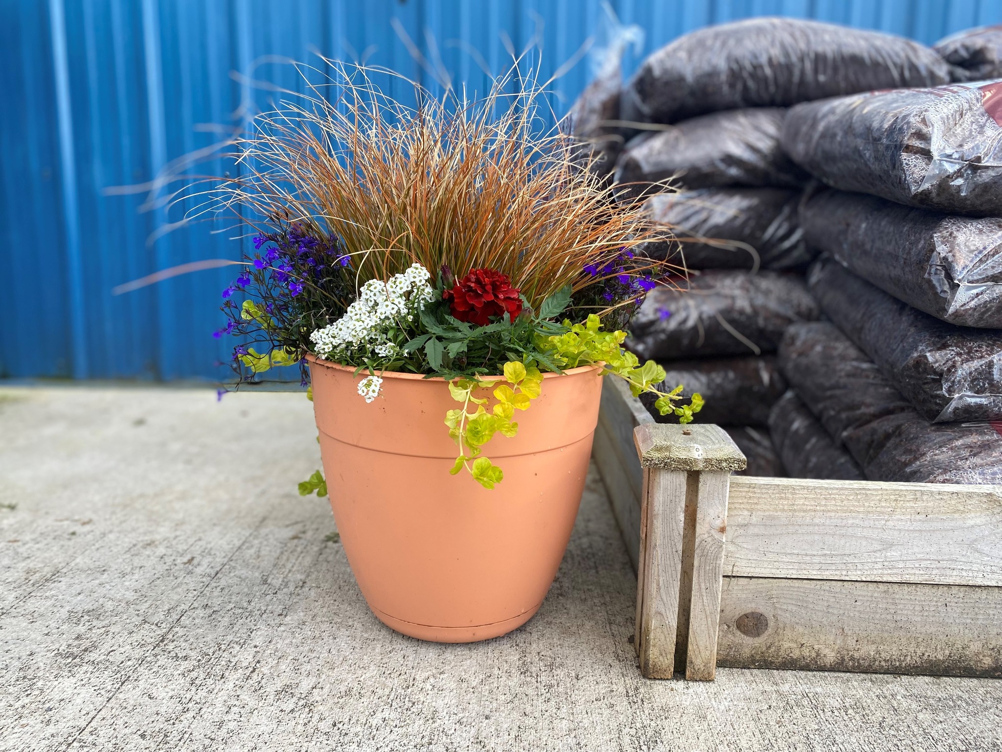 Decorative Pots