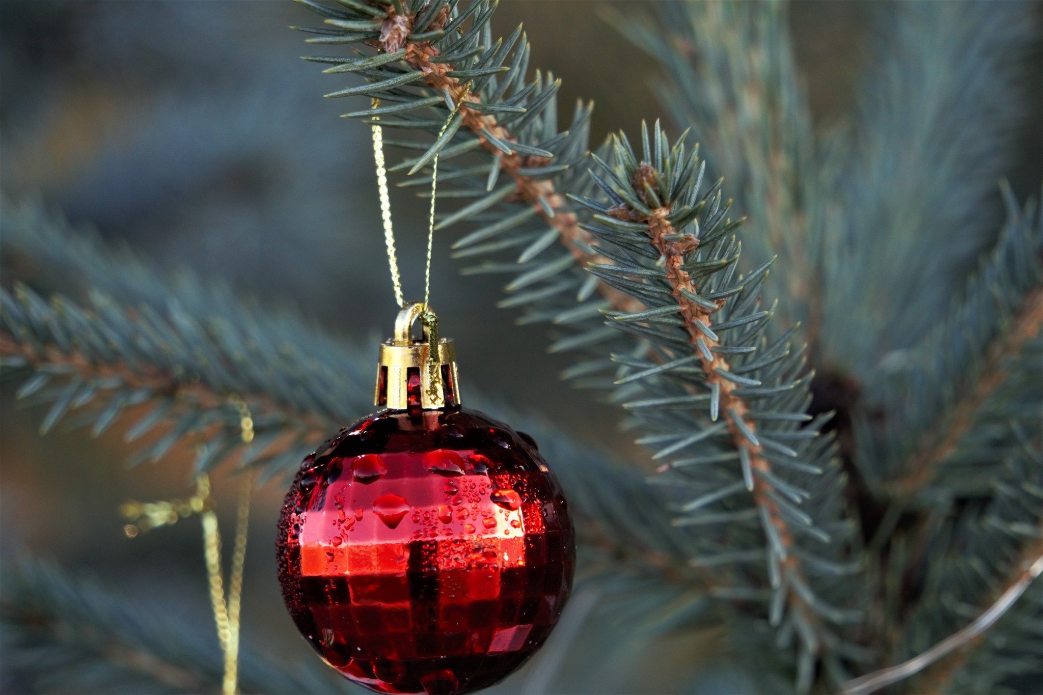 TableTop Christmas Trees